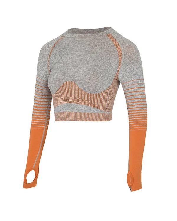 Coloblock Long Sleeves Crop Sweetshirts