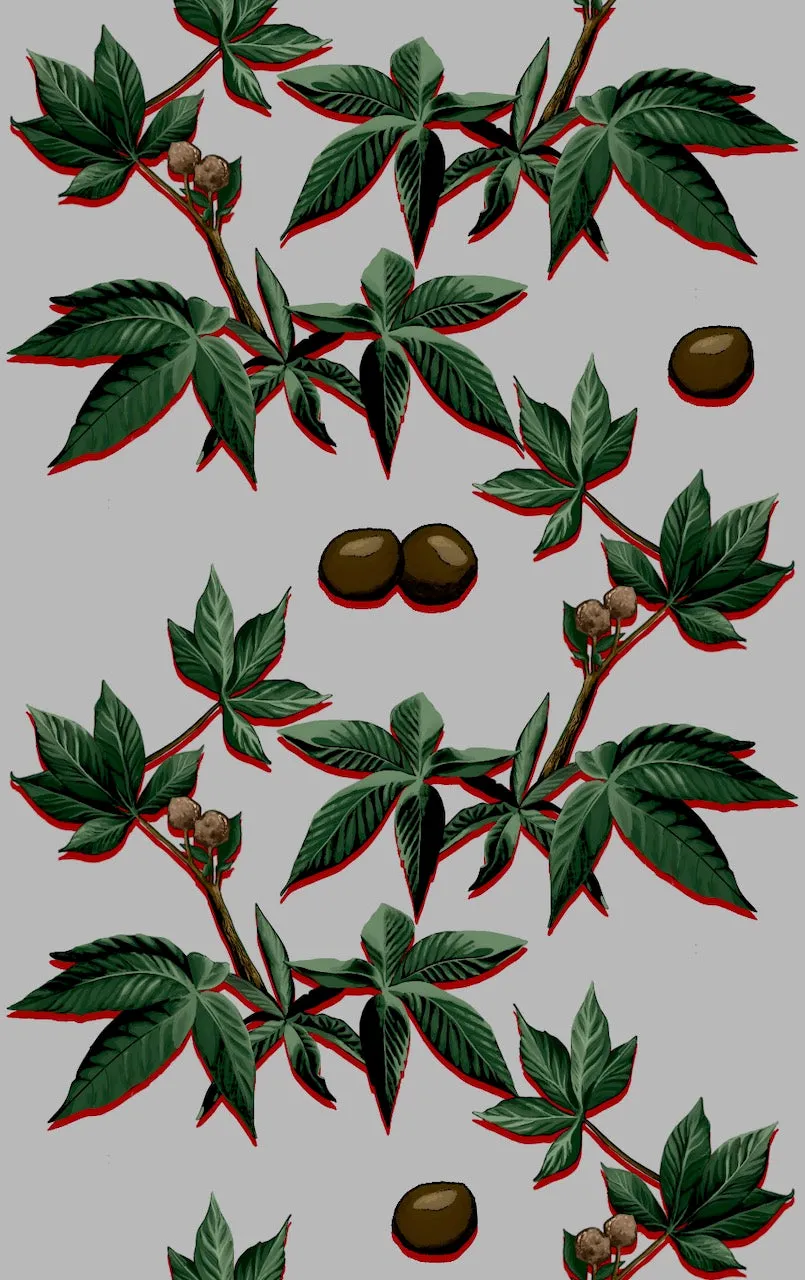 Custom Upgrade: Ohio Lining Collection (2025)