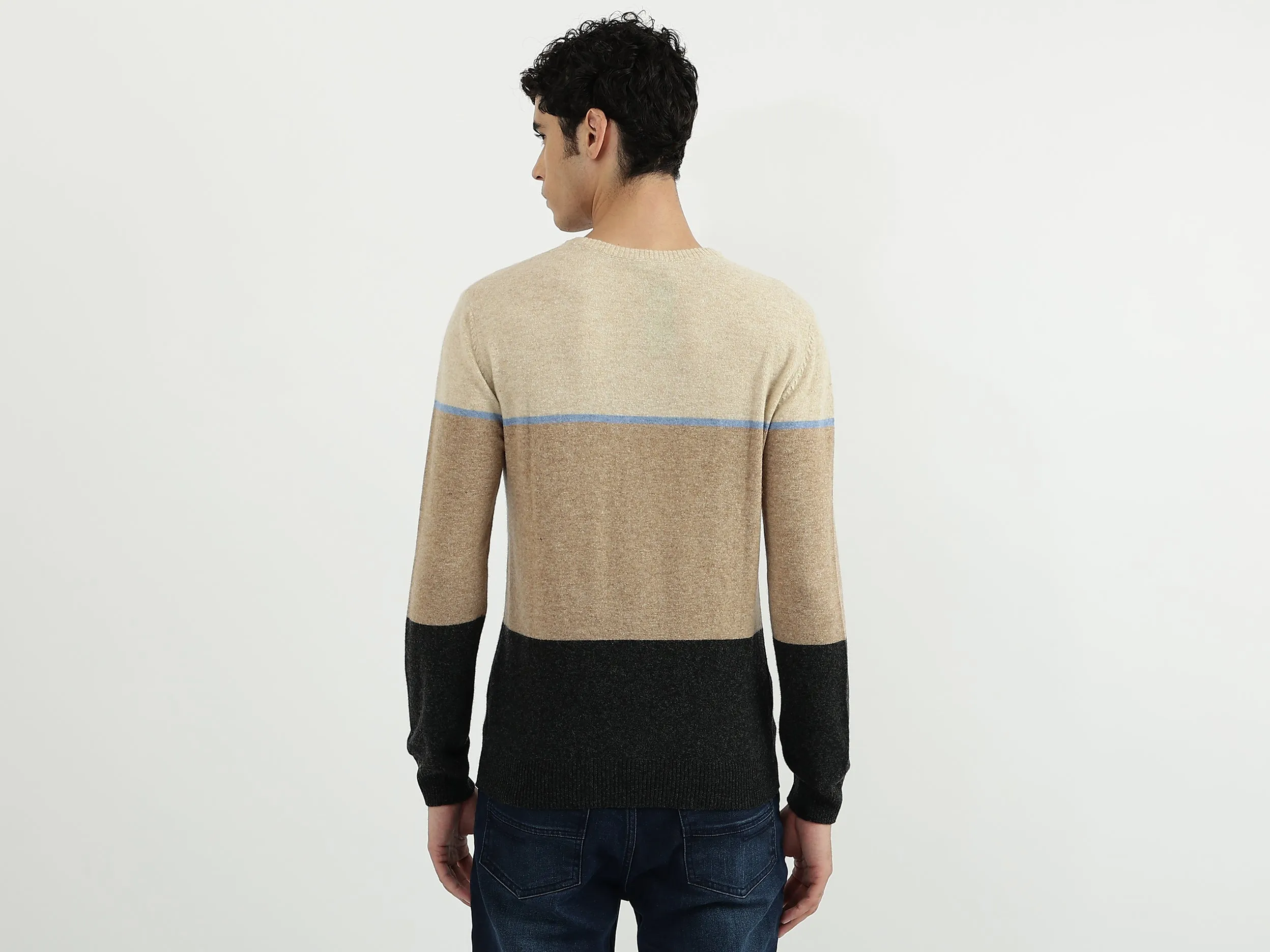 Men Stripe Round Neck Sweater