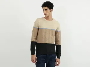 Men Stripe Round Neck Sweater