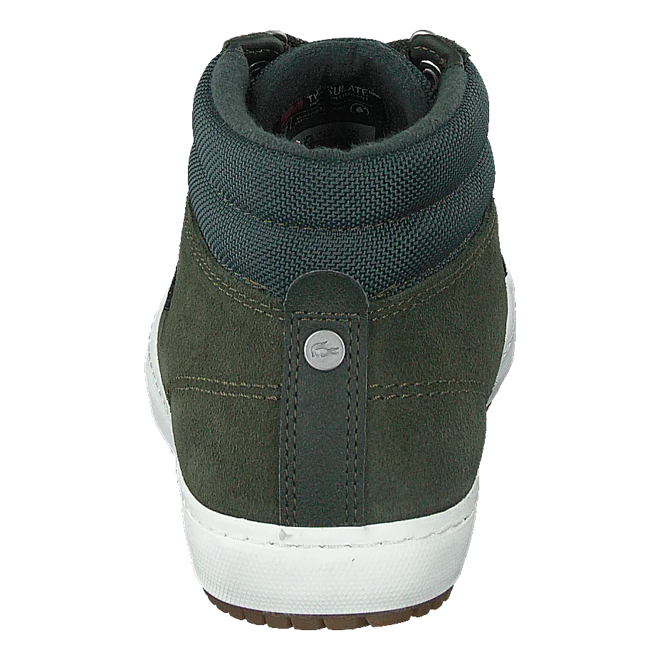 Straightsetinsulac3191cma Dk Grn/off Wht